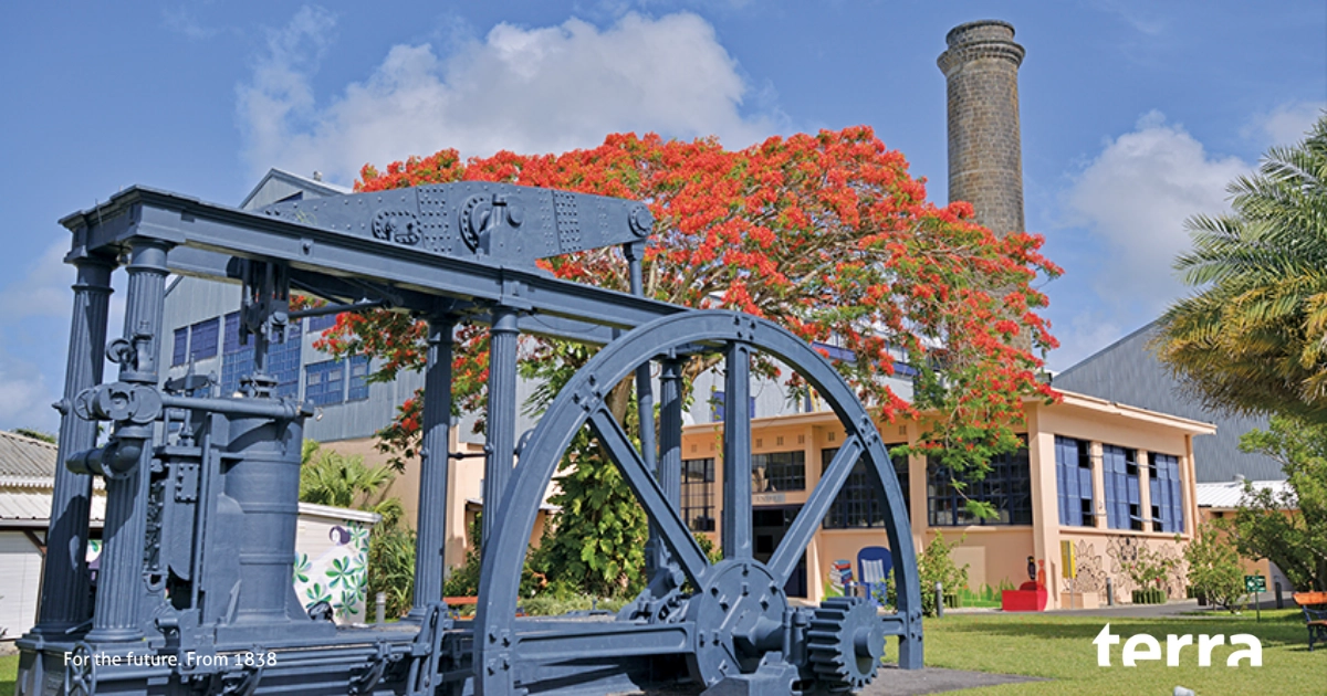 - 5 bonnes raisons de visiter l’Aventure du Sucre